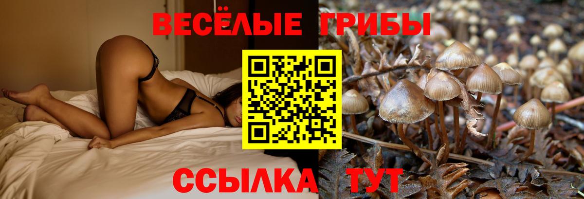 Галлюциногенные грибы ЛСД  Вход с VPN  Кинель 