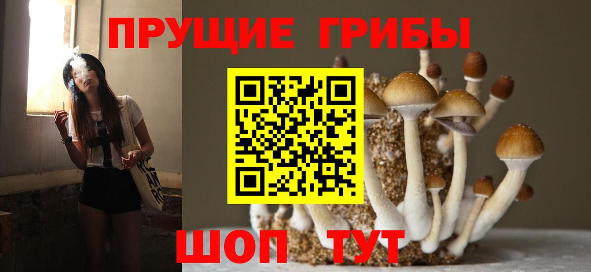 Псилоцибиновые грибы прущие грибы Кинель