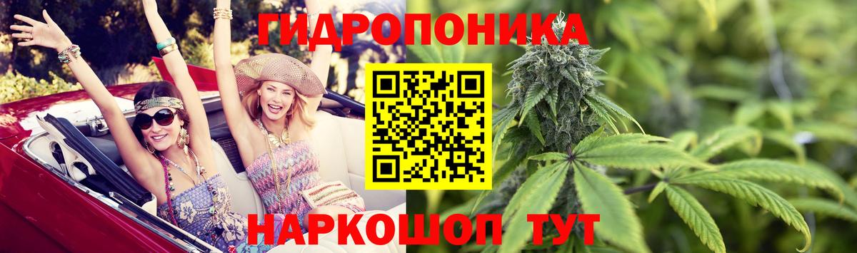 Каннабис гибрид  Конопля конопля  Кинель  Марихуана гибрид  Вход с VPN 